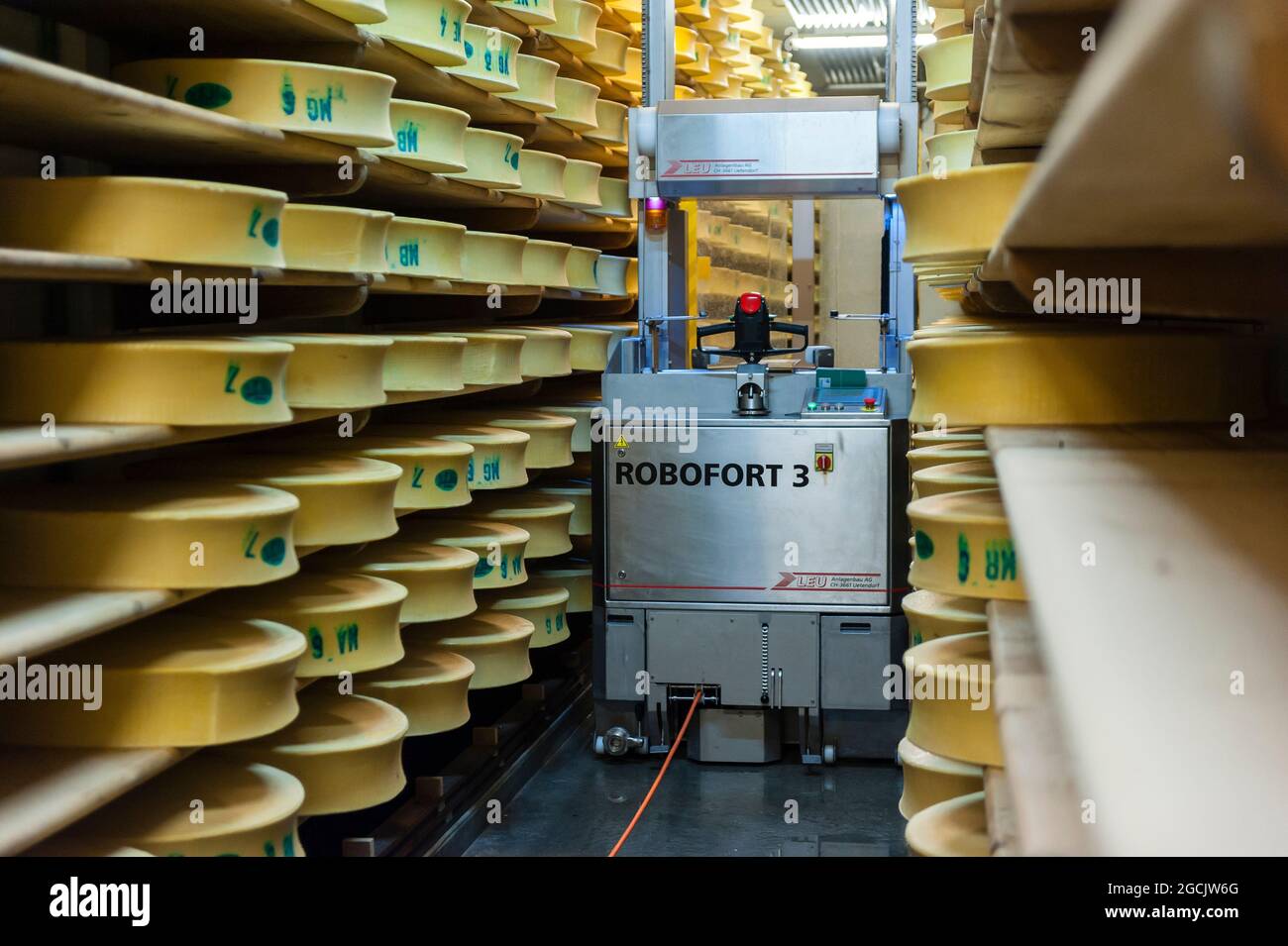 Cheese rotating robot, the Beaufort Cheese in the ripening cellars at the Beaufortain Cooperative Dairy in Beaufort. Savoie, France Stock Photo
