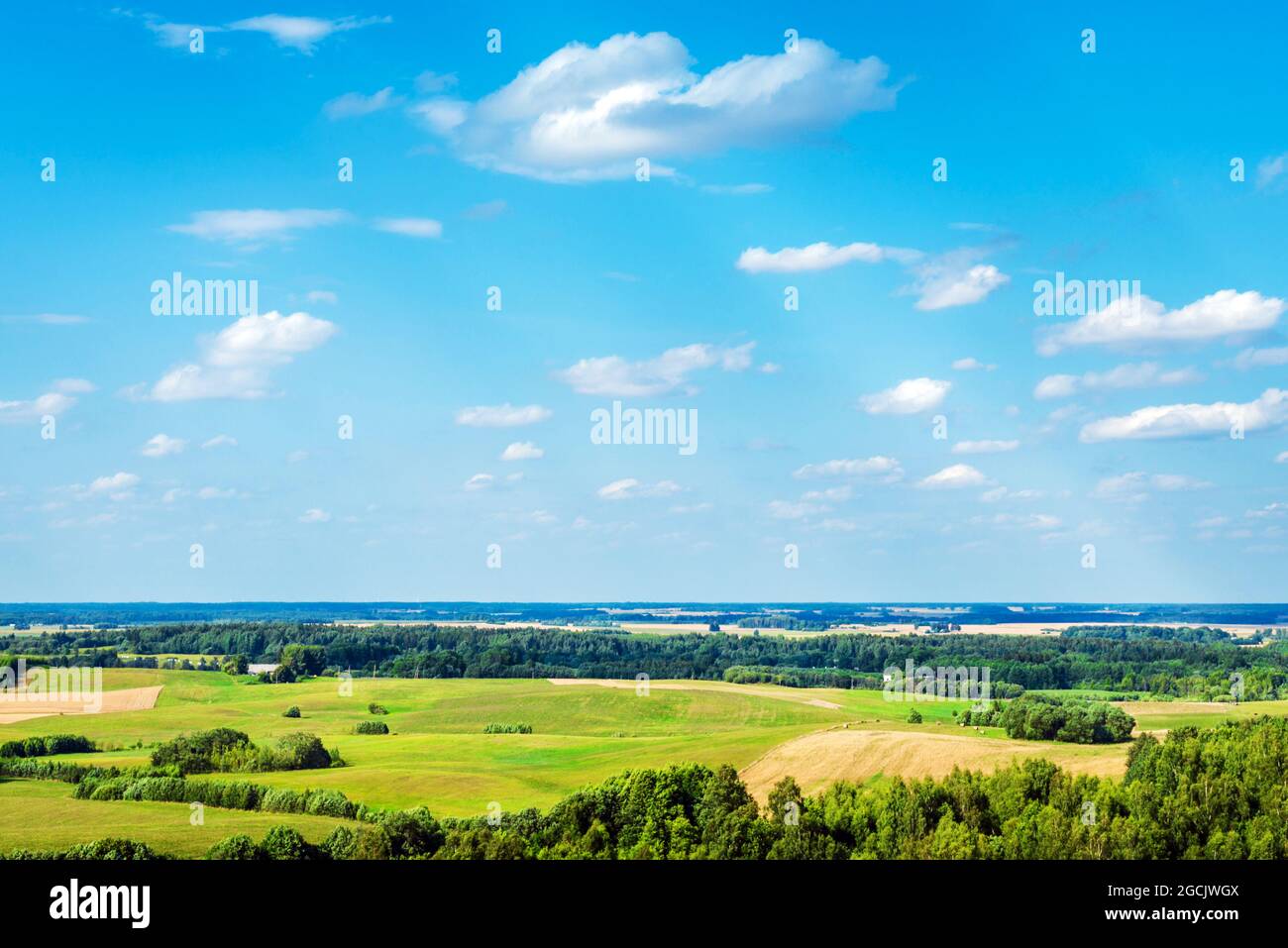 Summer landscape of green forest with bright blue sky,white clouds ...