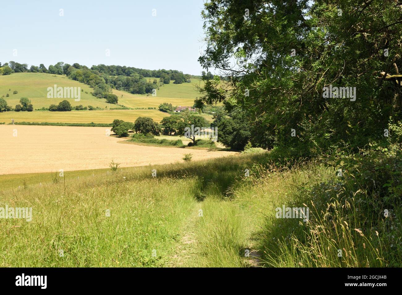 Chiltern landscape hires stock photography and images Alamy