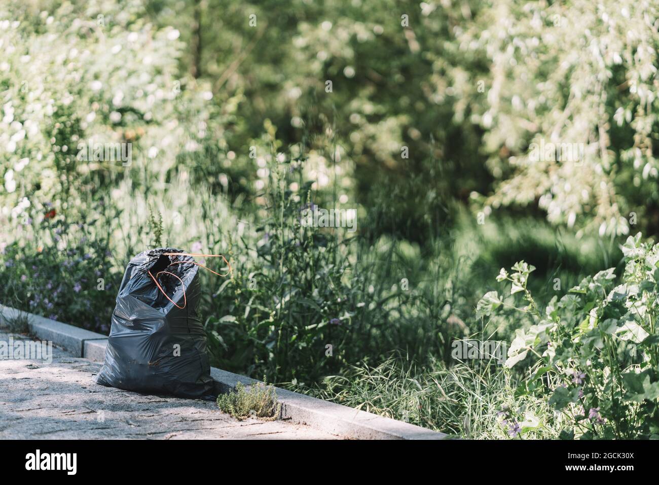 Black garbage bag placed on pathway after collecting trash in green park in summer day Stock Photo