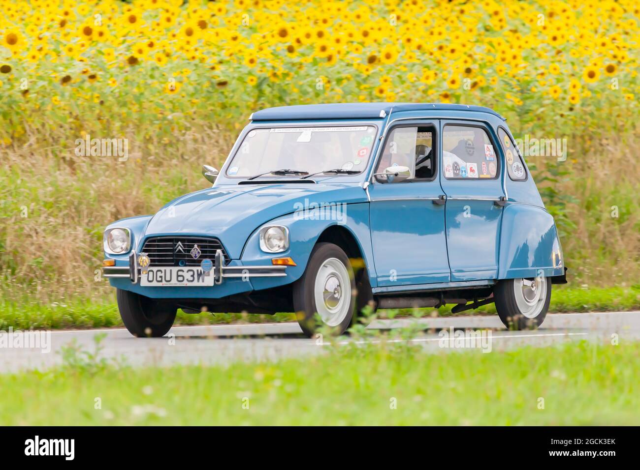 DIEREN, THE NETHERLANDS - AUGUST 12, 2016: Blue vintage Citroen 2CV on a local road in front of a field with blooming sunflowers in Dieren, The Nether Stock Photo