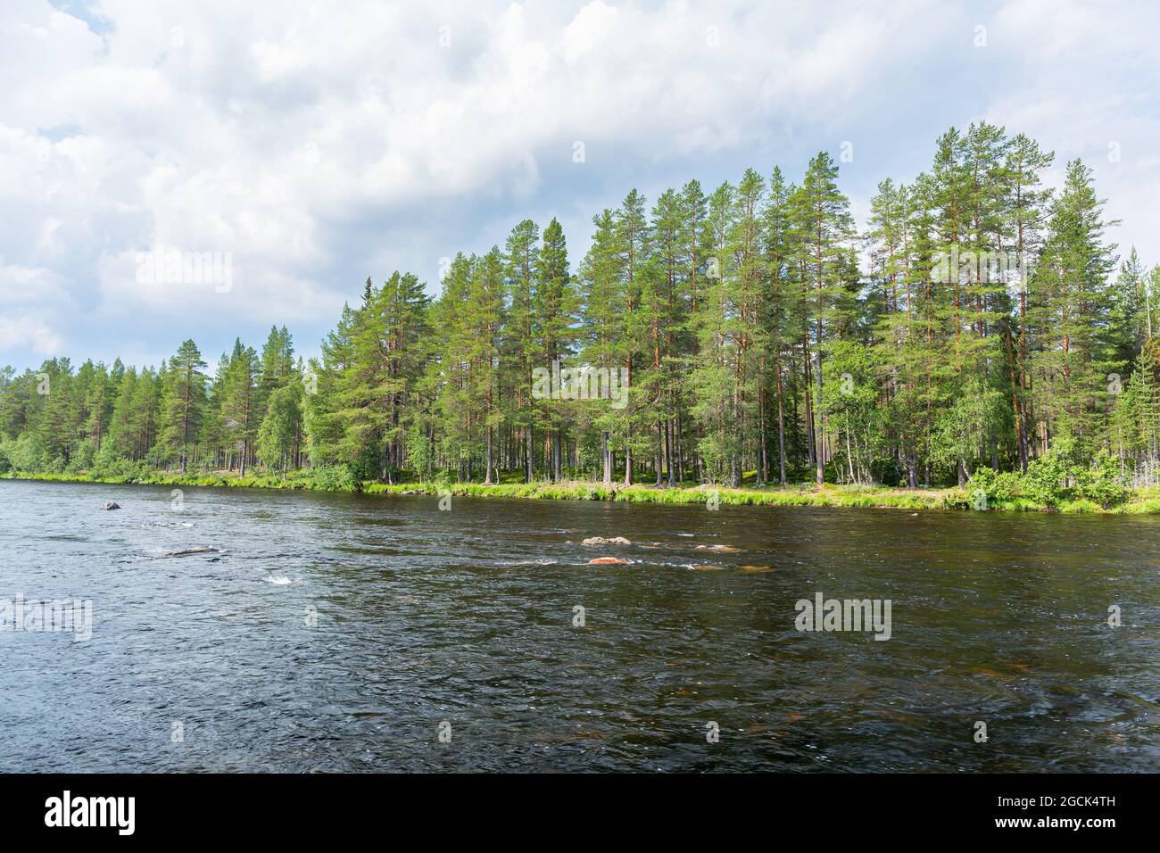 River flowing through a forest landscape Stock Photo - Alamy