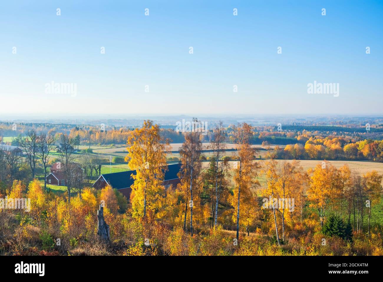 Rural landscape birch barn hi-res stock photography and images - Alamy