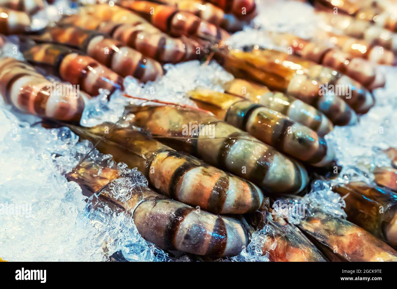 Giant tiger prawn or Asian tiger shrimp Stock Photo Alamy