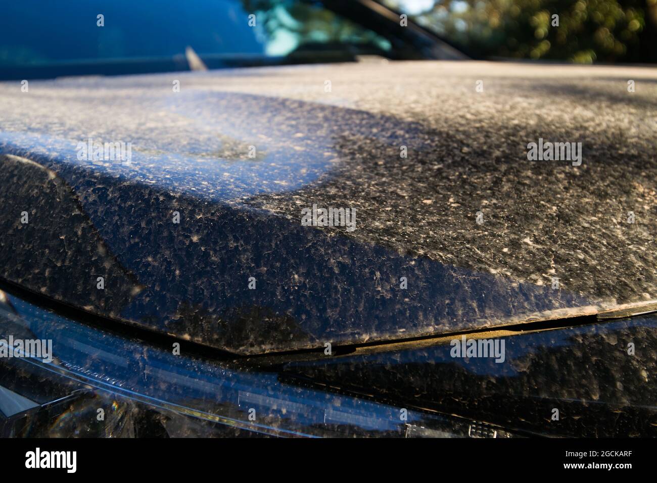 Dirty black car body after sand rain Stock Photo Alamy