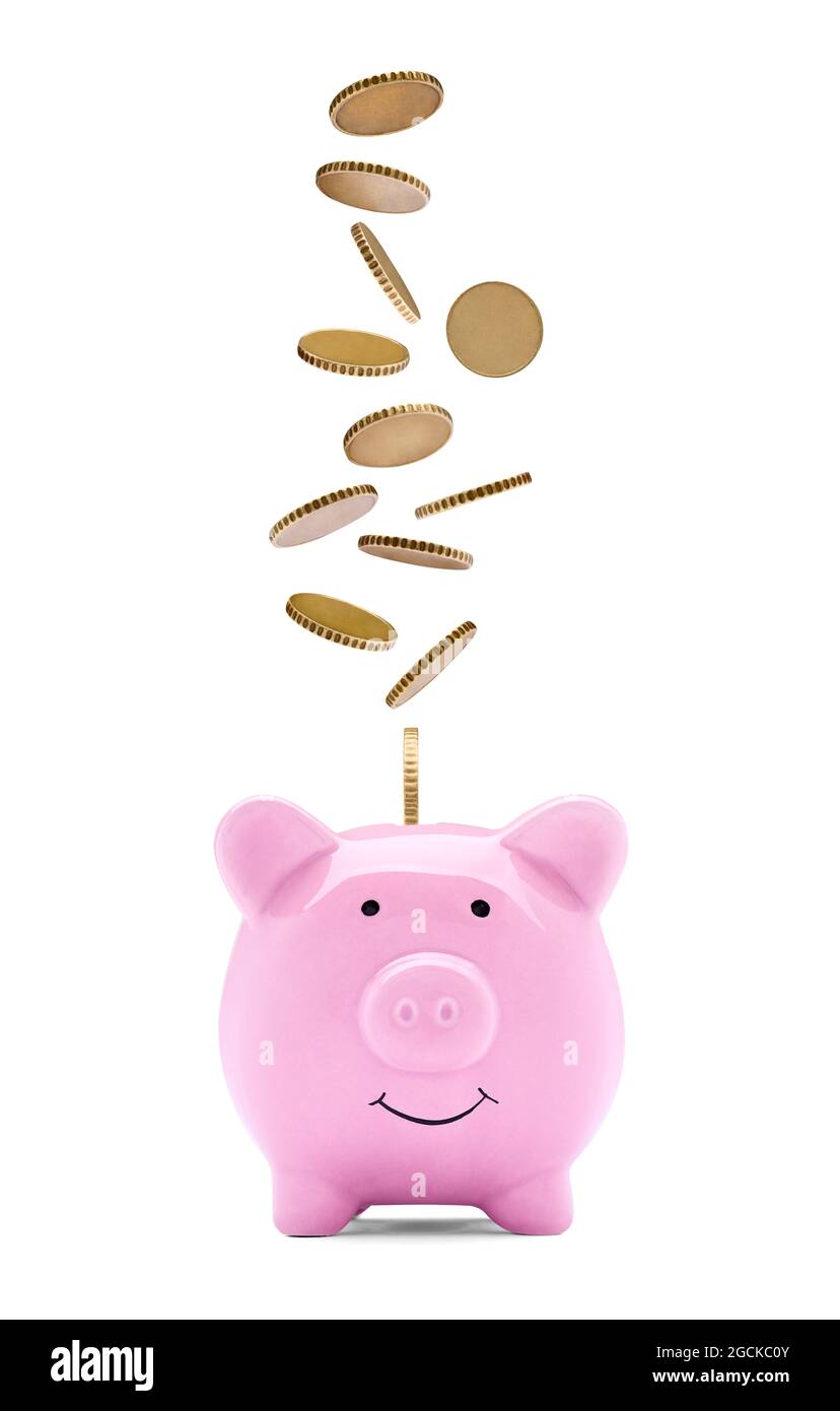 coin finance saving money piggybank business investment banking piggy bank pig wealth Stock Photo