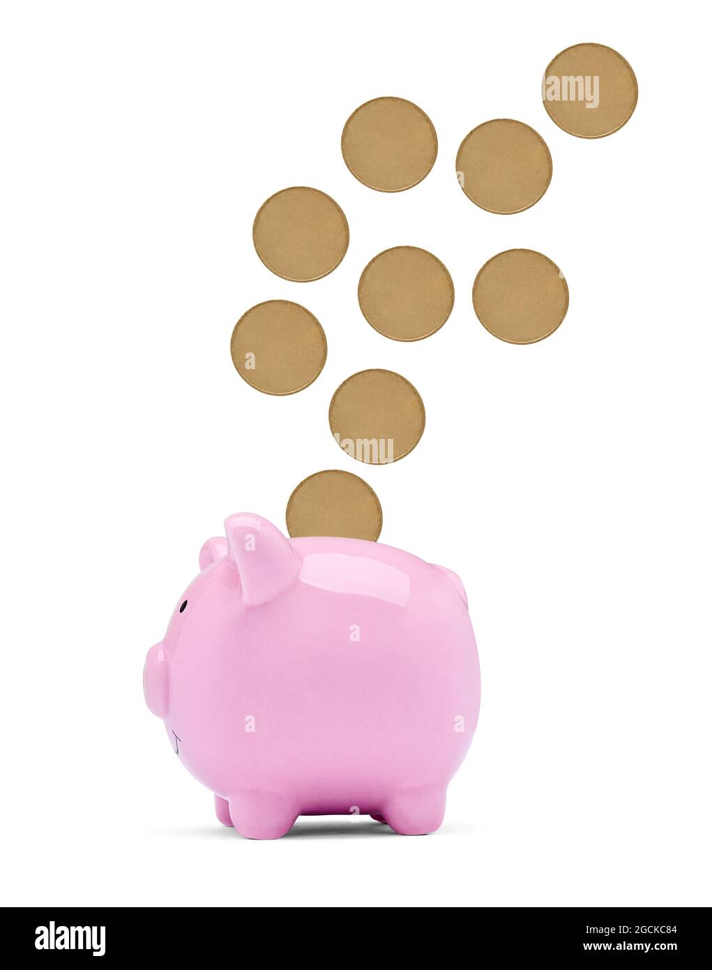 coin finance saving money piggybank business investment banking piggy bank pig wealth Stock Photo