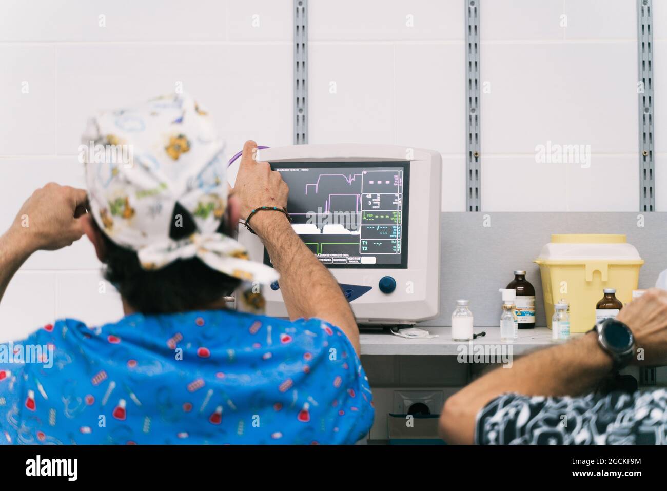 Back view of unrecognizable vet surgeon controlling vital signs of pet patient on computer monitor during treatment in vet hospital Stock Photo