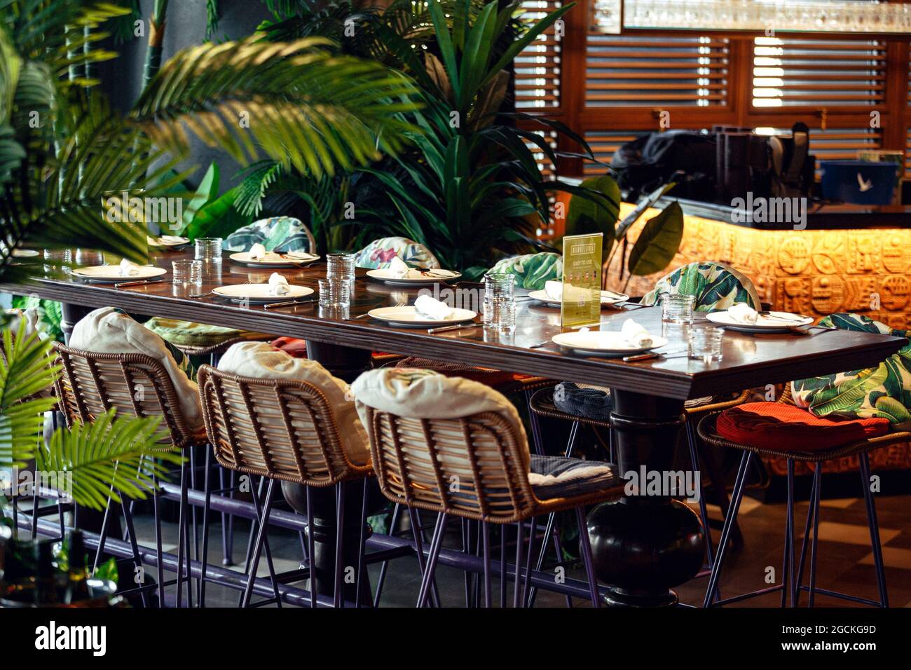 A dining room table in a restaurant in between lot of plants  Stock Photo