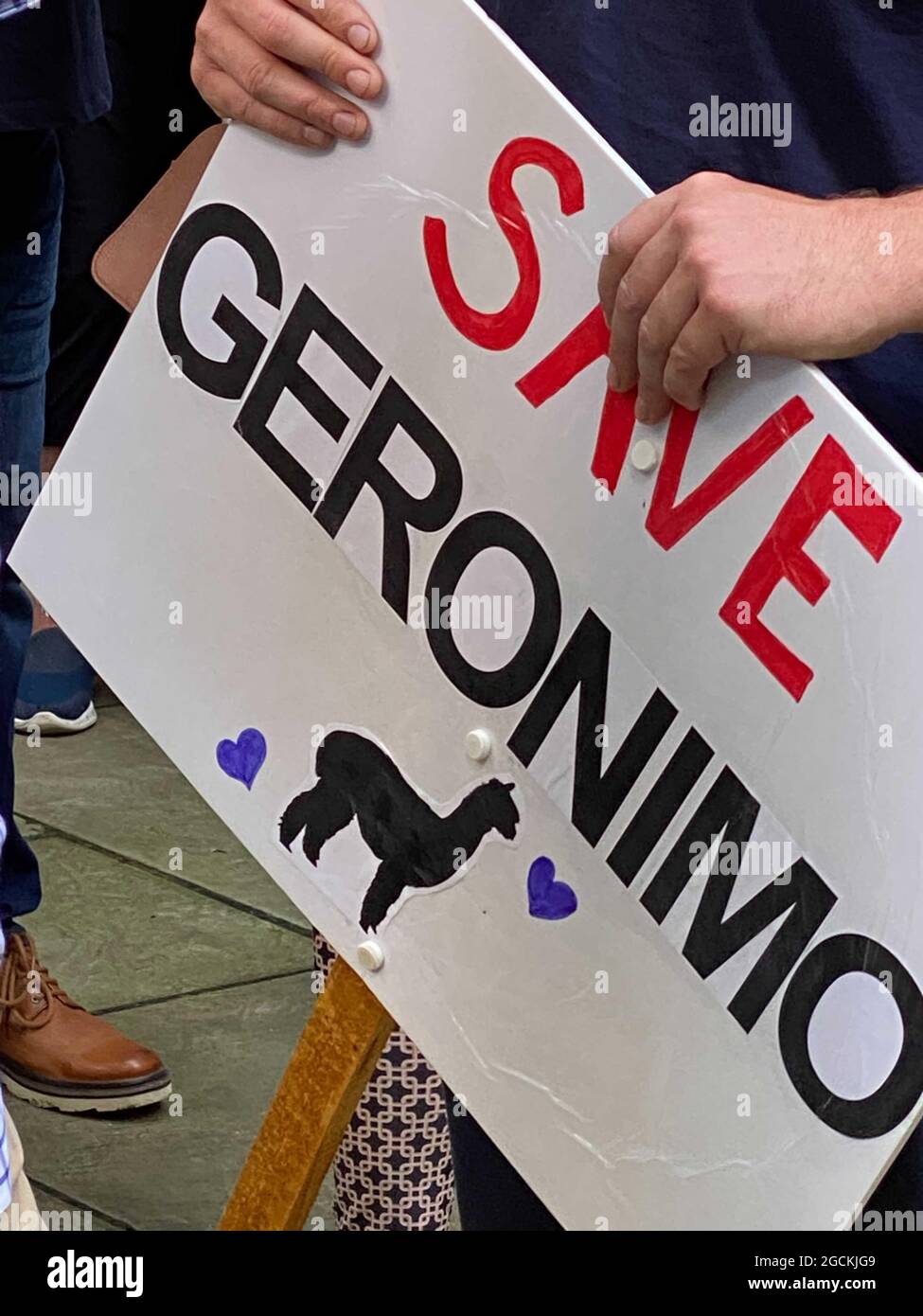London, UK. 09th Aug, 2021. Demonstrators protest outside the Department of the Environment against the ordered euthanasia of alpaca Geronimo, one person holds a sign "Save Geronimo". With a protest march in London, supporters wanted to demonstrate for the rescue of Geronimo, an alpaca suspected of suffering from bovine tuberculosis. Credit: Benedikt von Imhoff/dpa/Alamy Live News Stock Photo