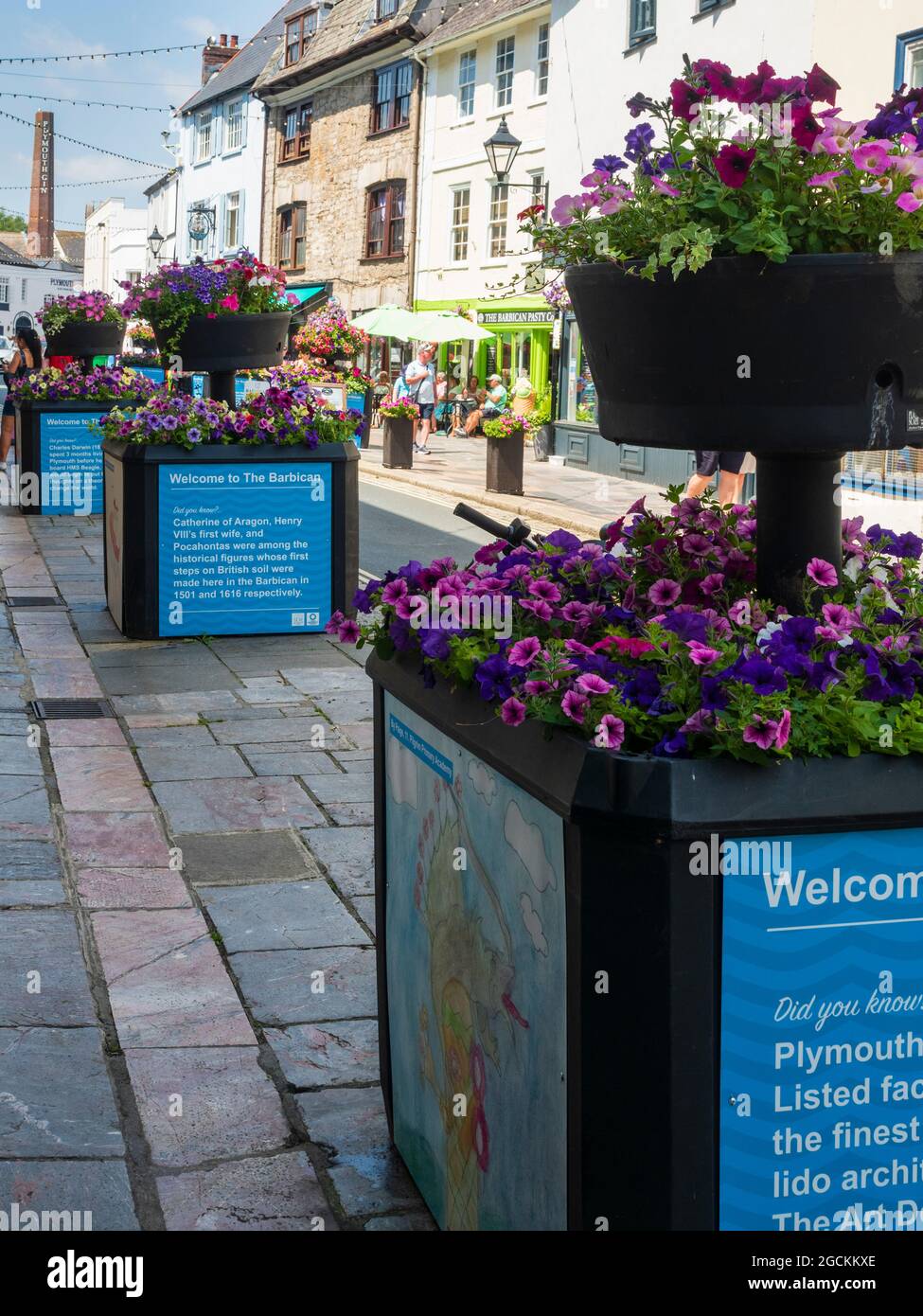 Ornamental planters filled with petunias for summer display on Southside Street, the Barbican, Plymouth, UK Stock Photo