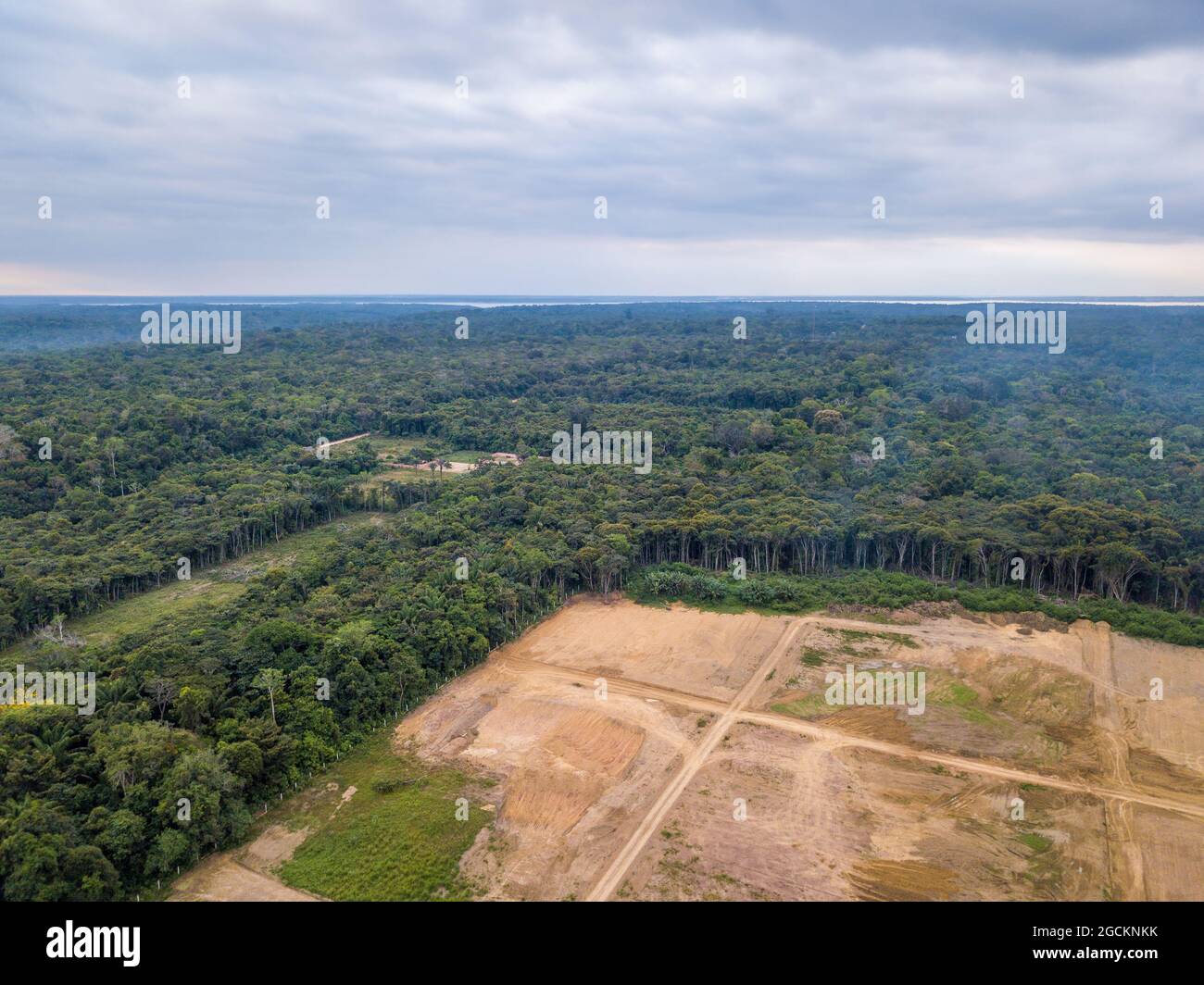Aerial view of deforestation of Amazon rainforest. Forest trees destroyed to open land for commercial area. Concept of environment, ecology, climate. Stock Photo