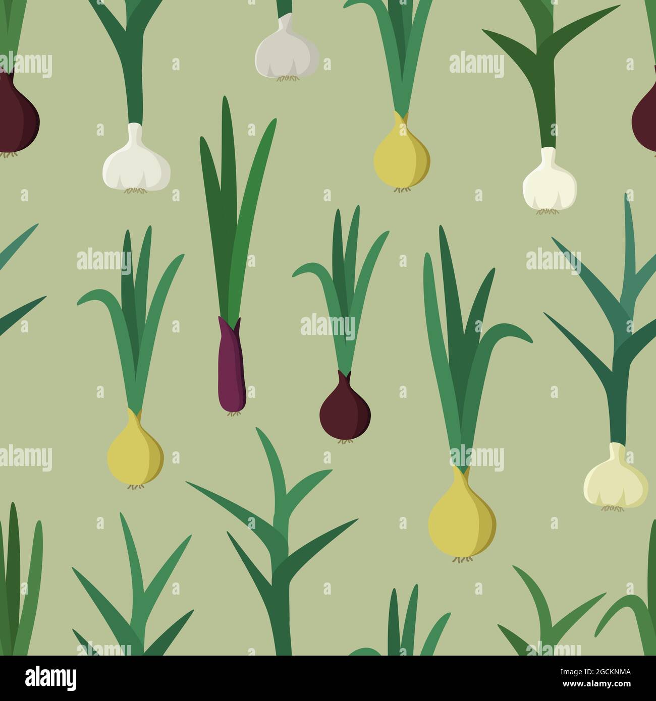 Garlic and onion vector background Stock Vector Image & Art Alamy