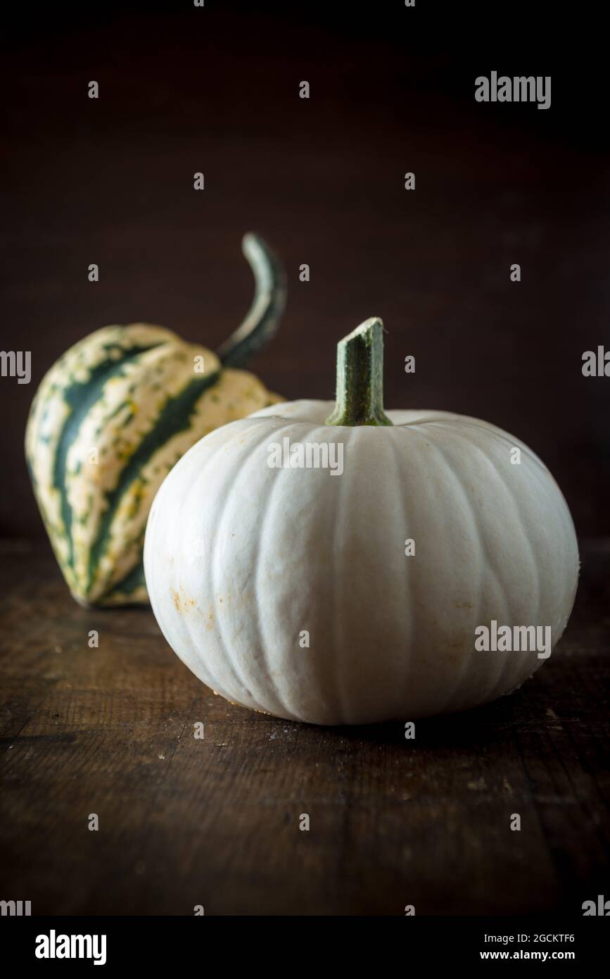Whole fresh decorative pumpkins with striped peel on dark background Stock Photo