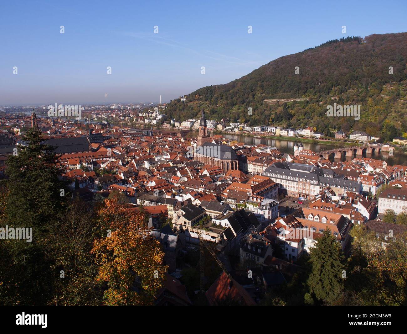 Heidelberg Germany cityscape home to the famous Renaissance Castle ruin. Shows church, bridge over the  Neckar river and much of the city Stock Photo