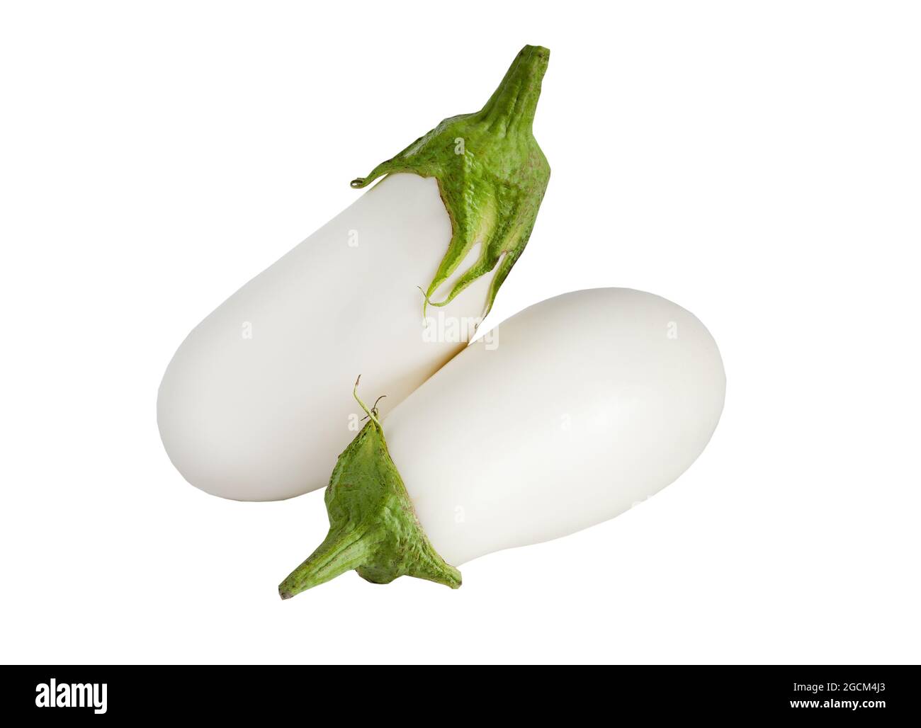 Two white eggplants isolated on a white background. Eggplant vegetable Stock Photo