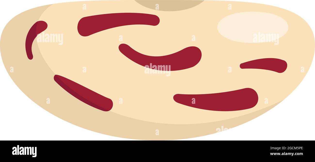 Lima kidney bean icon. Flat illustration of lima kidney bean vector