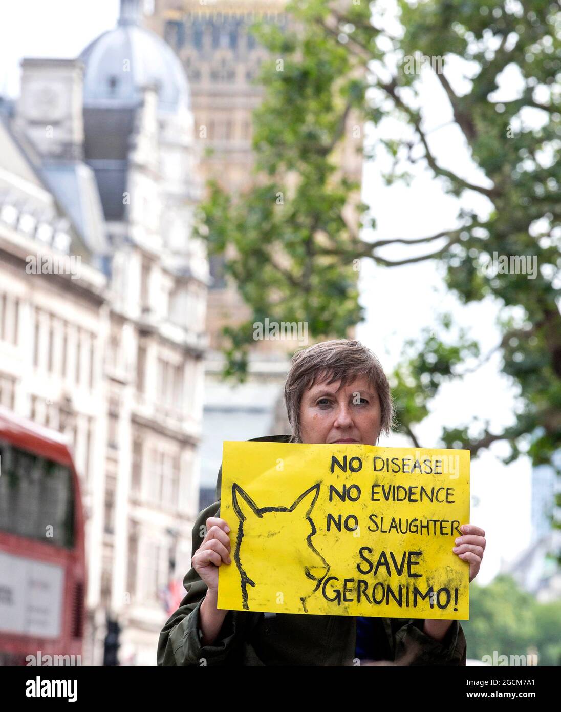 London, UK 9 Aug 2021 Protestors gather outside DEFRA before marching on to Downing Street. They are calling on the Environment Secretary, George Eustice, to consider a retest for the Alpaca named Geronimo. They are asking that Geronimo be retested as the current test is not accurate. Geronimo has twice tested positive for bovine tuberculosis, and the Department of Food, Environment and Rural Affairs has ordered he be euthanised. Credit: Mark Thomas/Alamy Live News Stock Photo