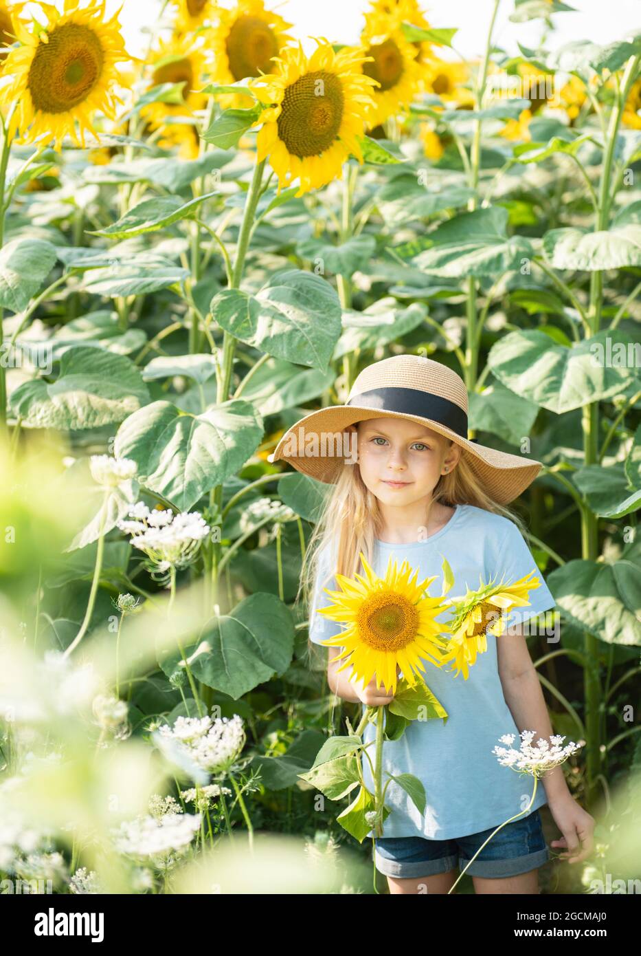 Happy little girl on the field of sunflowers in summer Stock Photo - Alamy