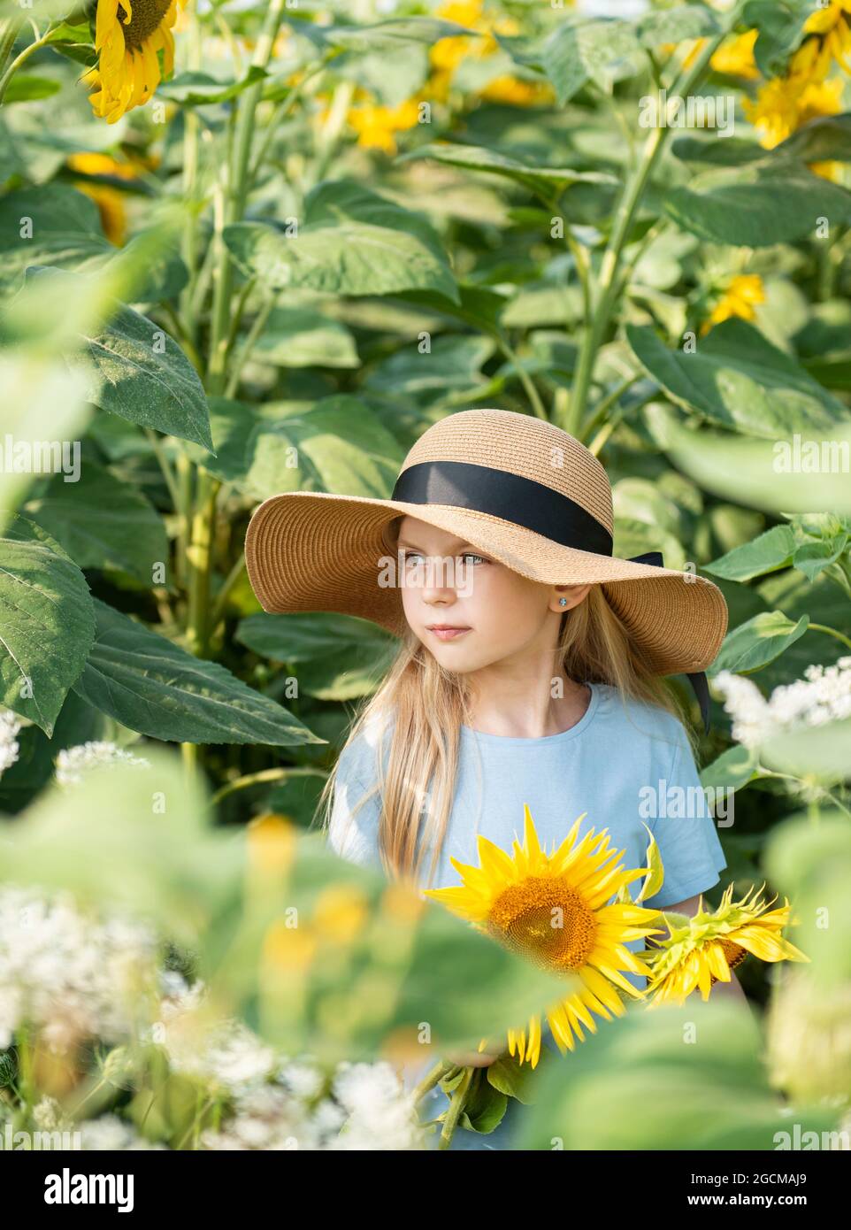 Happy little girl on the field of sunflowers in summer Stock Photo - Alamy