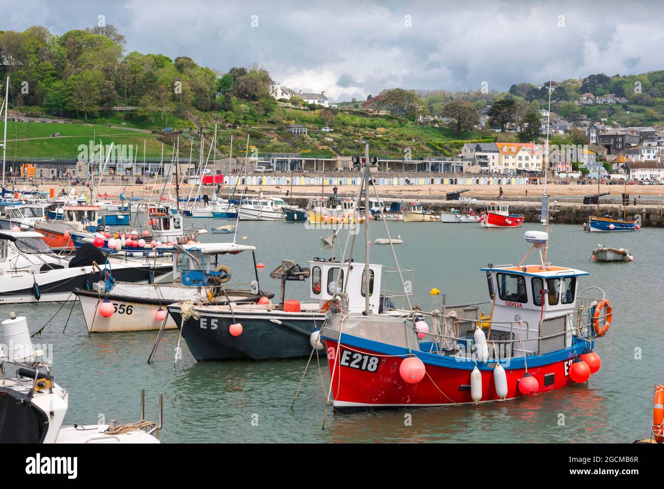 Lyme Regis harbour, view of fishing boats moored in the harbour at Lyme Regis, Dorset, England, UK Stock Photo