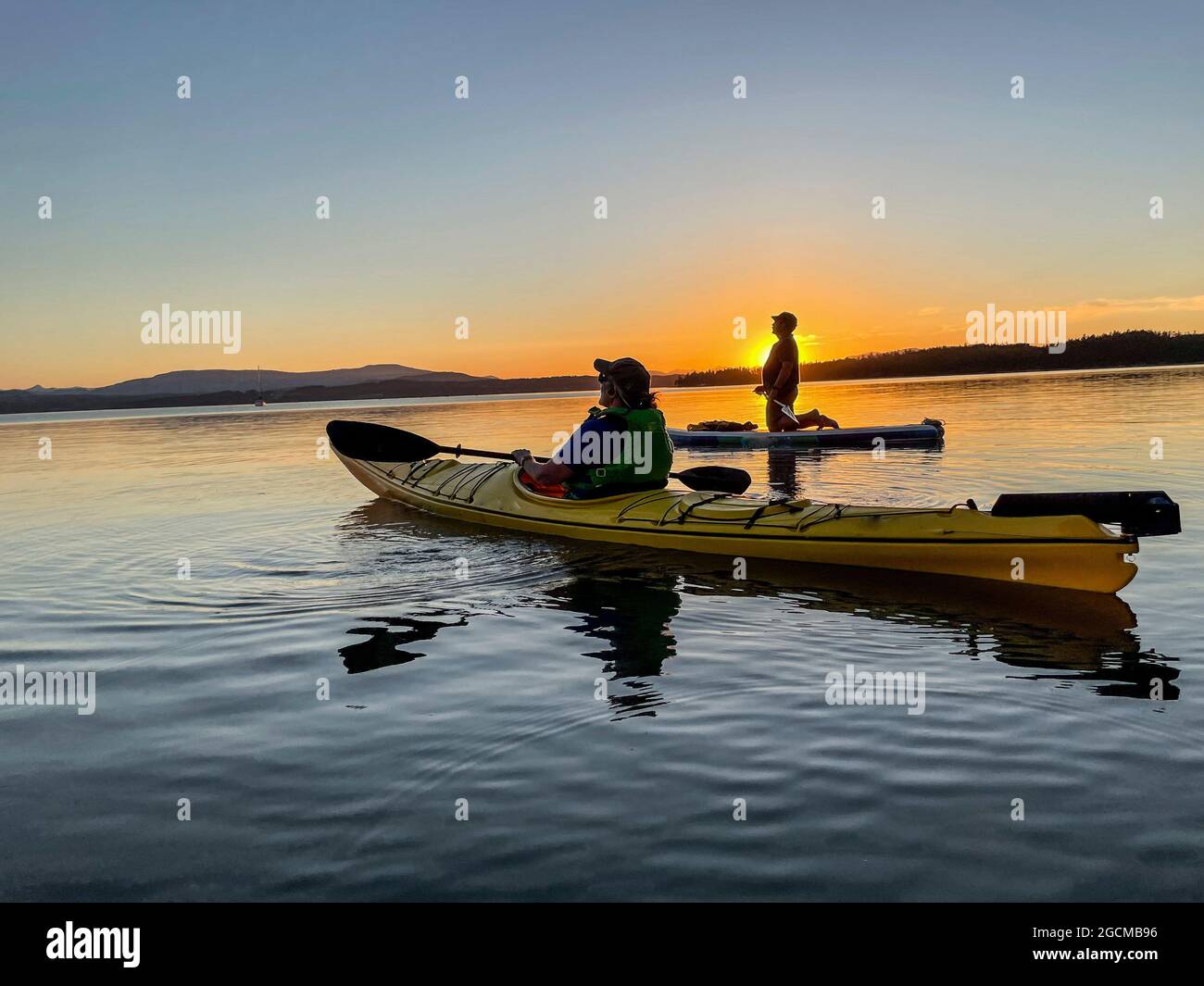 Couple paddleboarding and kayaking in ocean at sunset, Canada Stock