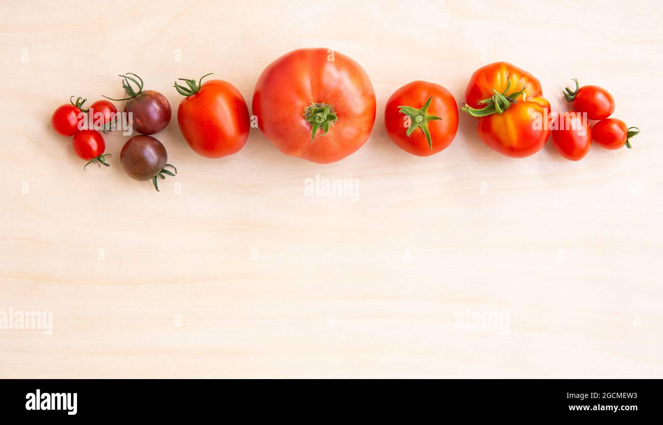 Different shape, size and color tomatoes in row, with lot of copy space on light brown background. Stock Photo