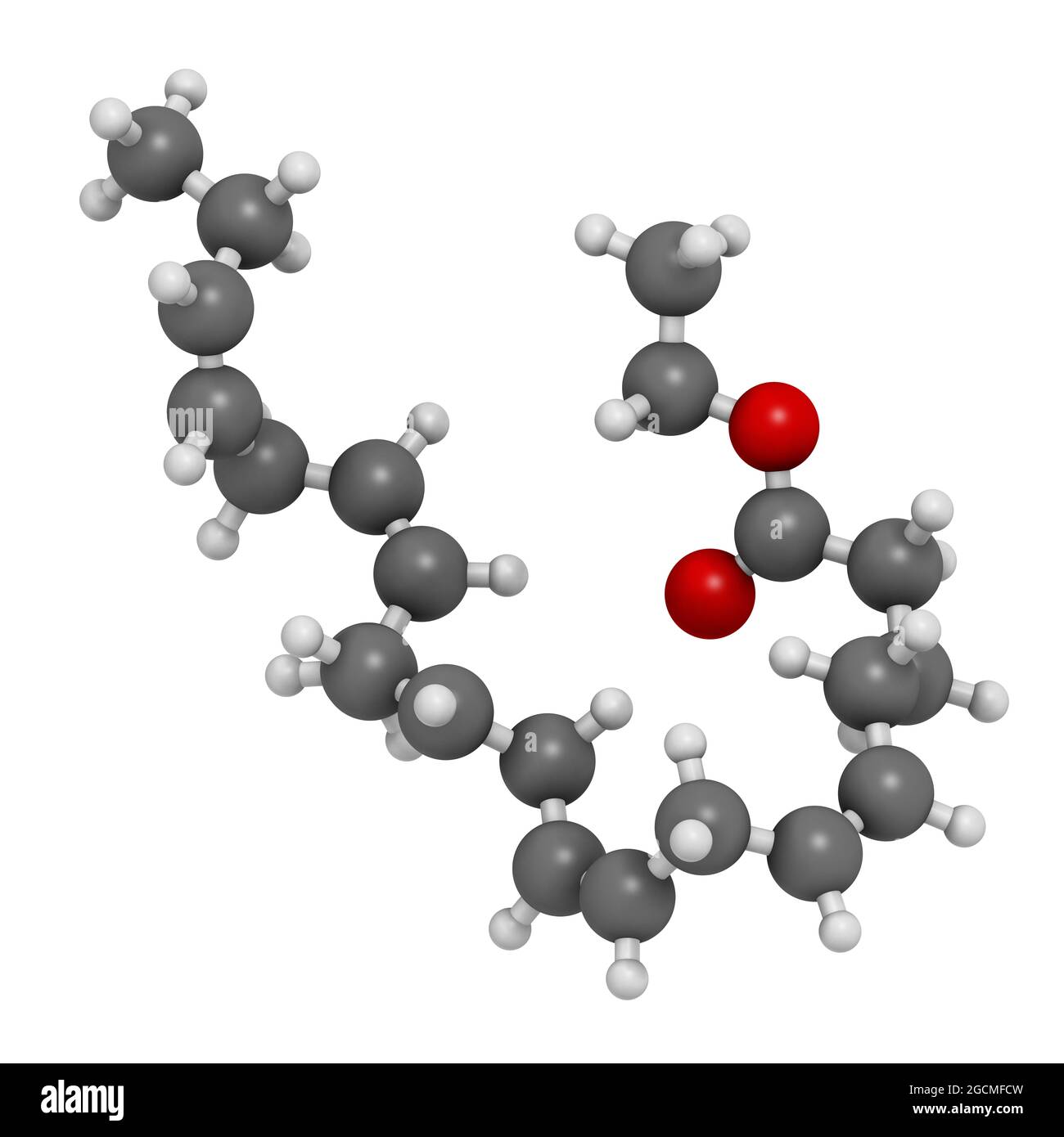 Icosapent ethyl (ethyl eicosapentaenoic acid) drug molecule.  3D Stock Photo