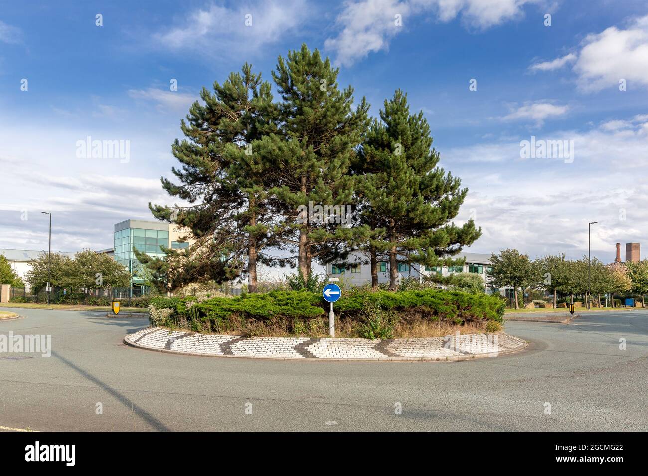 Birkenhead, Wirral, UK: Roundabout with pine trees on Egerton Wharf / Tower Wharf junction, in the business and industrial heartland. Stock Photo