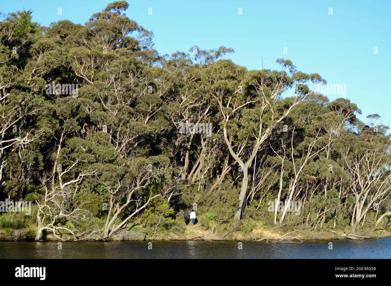 Wentworth Falls Lake Stock Photo Alamy