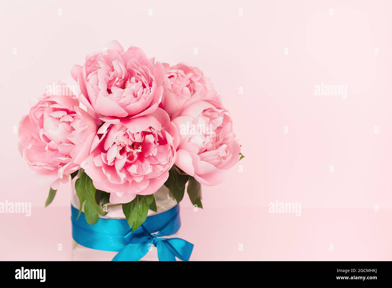 Gentle pink peonies in a glass vase with a blue satin ribbon. Elegant ...