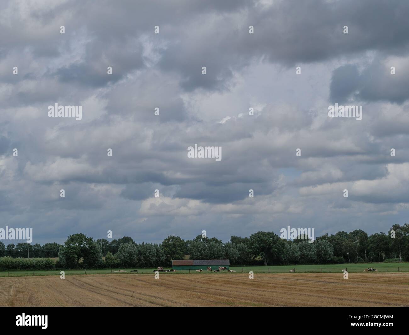 summer in westphalia Stock Photo Alamy