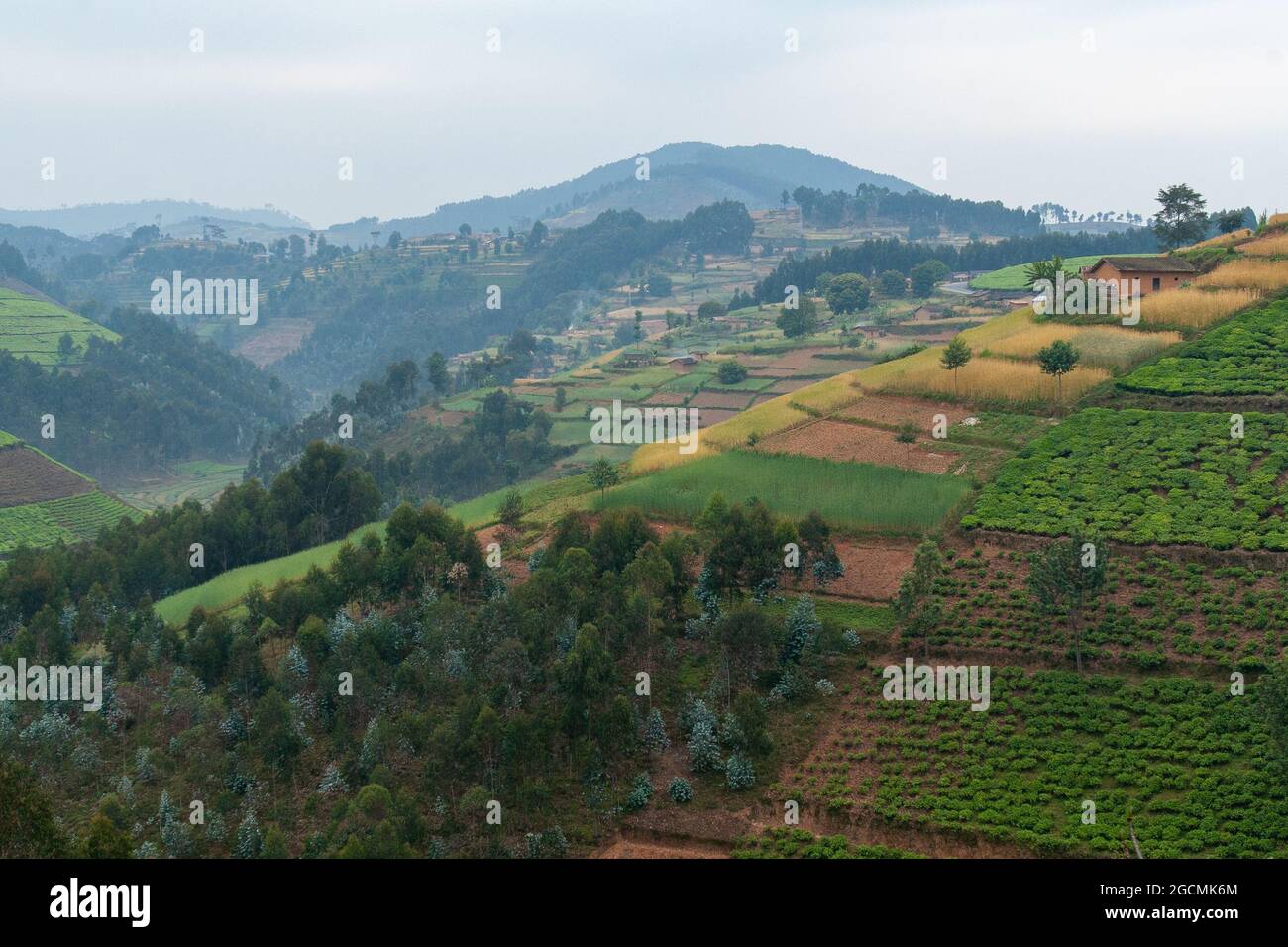 Rwanda land of thousands hills Stock Photo Alamy