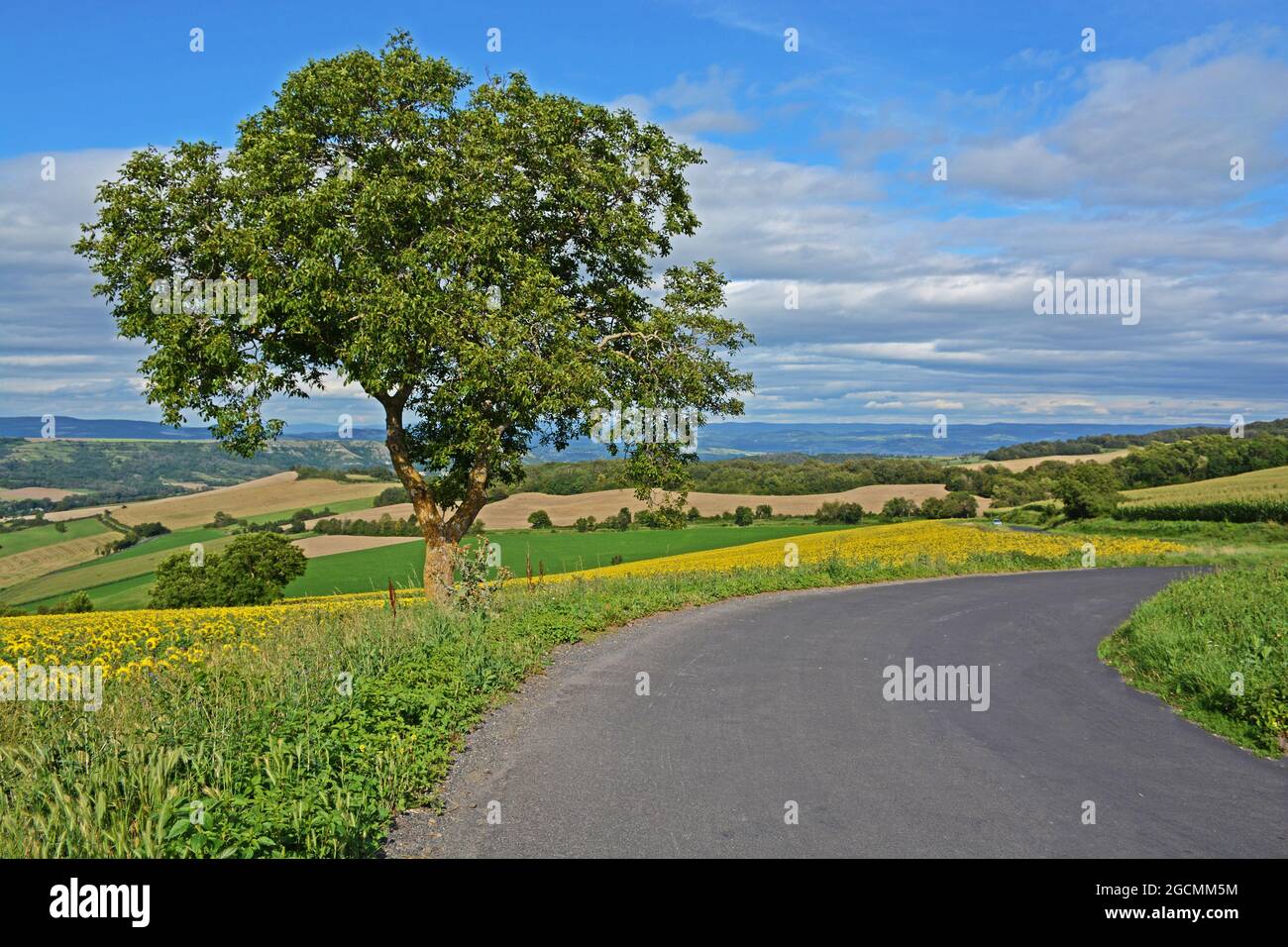 road scene, Limagne plain, Puy de Dome, Auvergne-Rhone-Alpes,Massif-Central, France Stock Photo