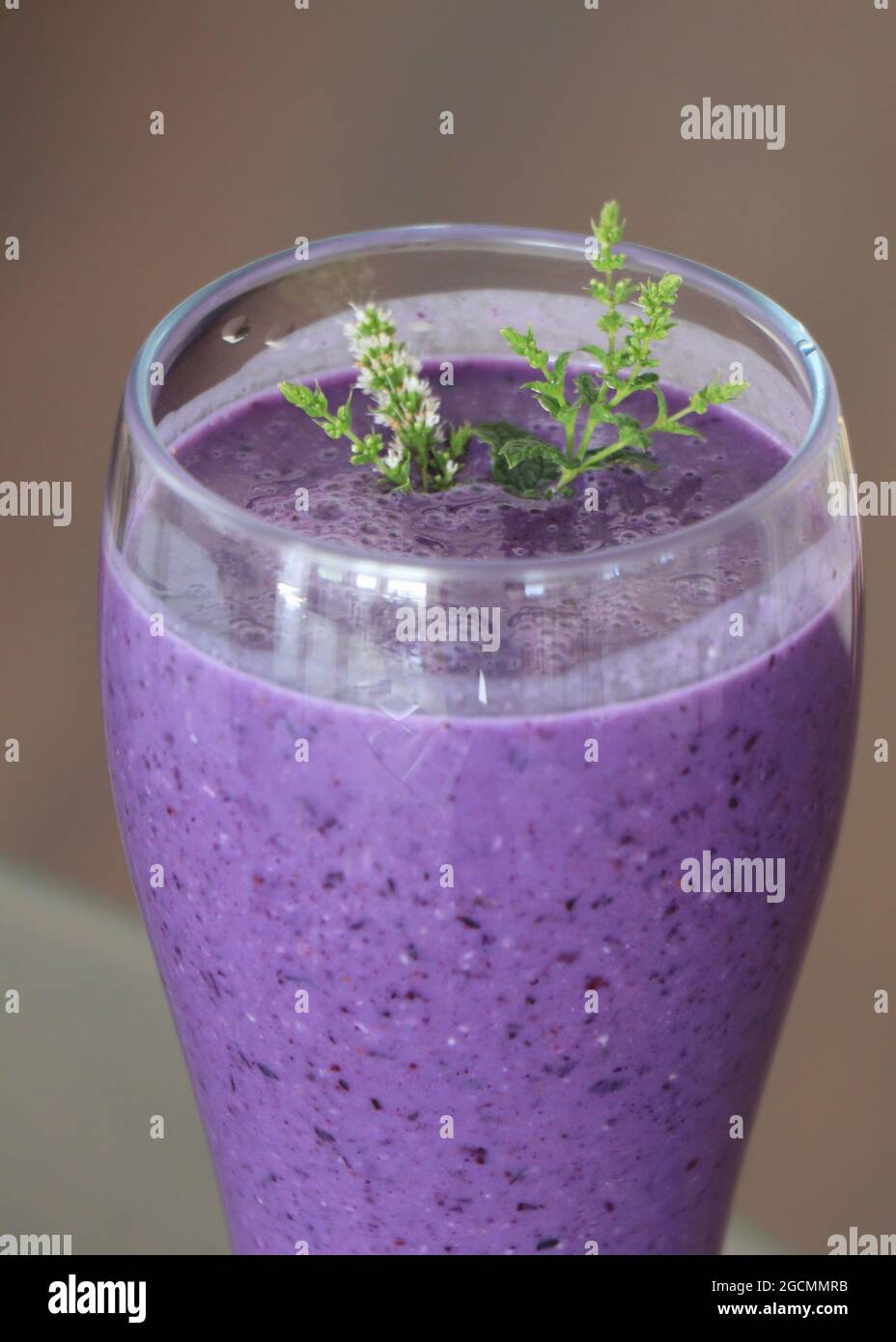 Blueberry, banana, chokeberry and oat bran smoothies in a large tall
