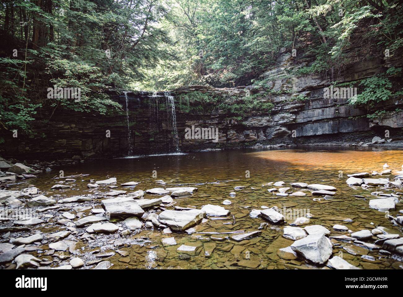 Christman Bird and Wildlife Sanctuary Stock