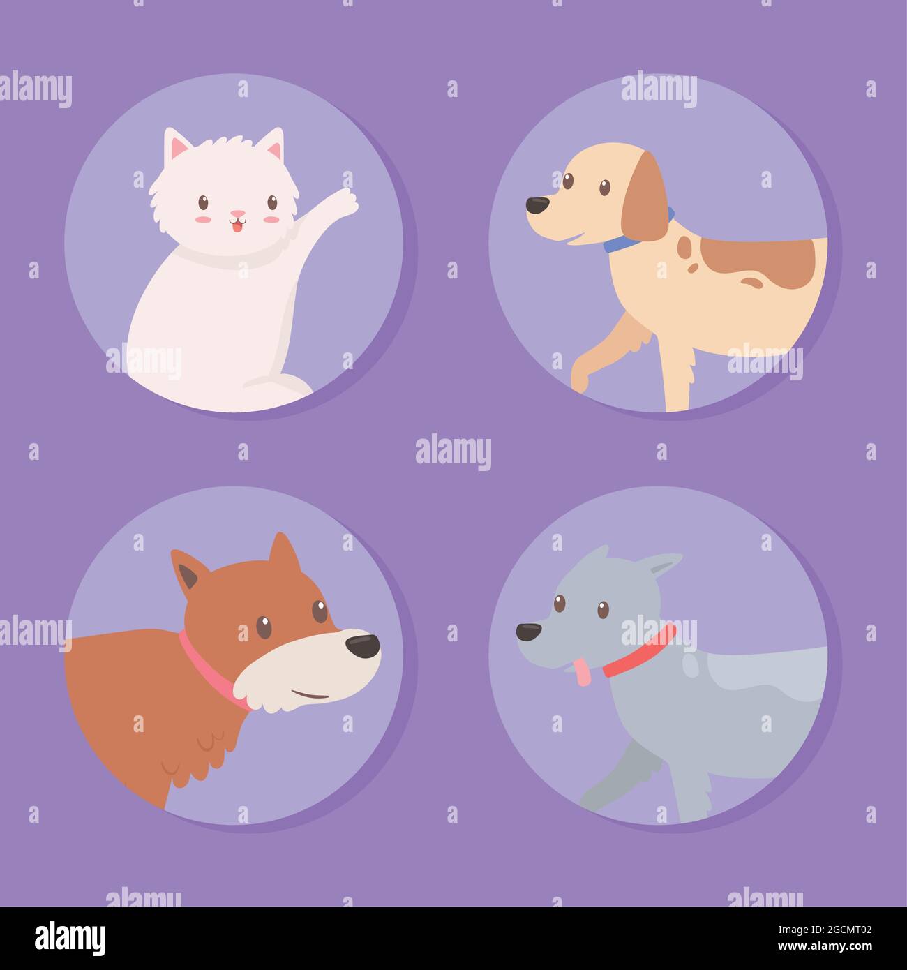 set icons pets animals Stock Vector Image & Art - Alamy