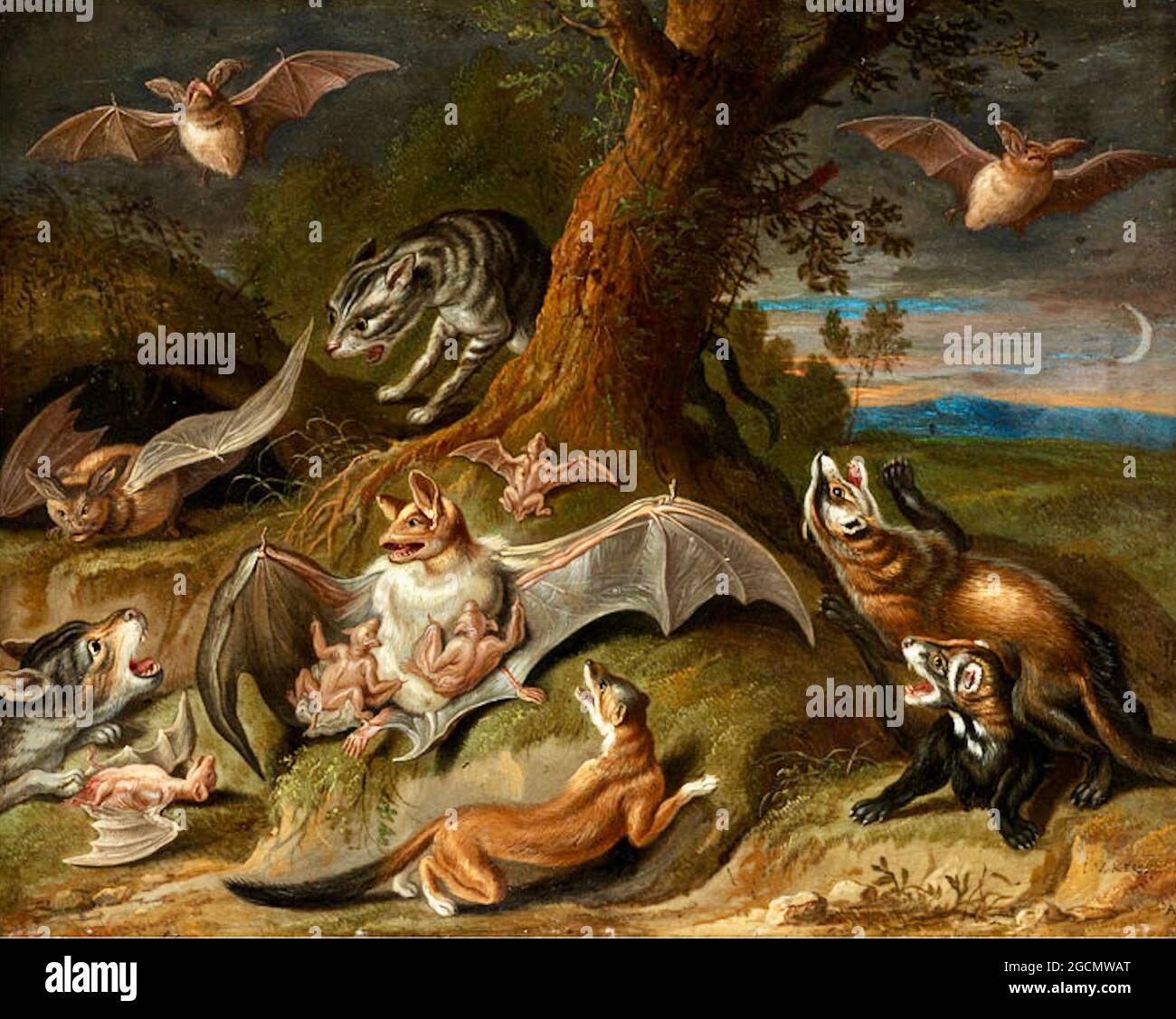 Jan Van Kessel artwork entitled Nocturnal Animals at the edge of a Forest Stock Photo - Alamy Jan Van Kessel artwork entitled Nocturnal Animals at the edge of a Forest Stock Photo - Alamy