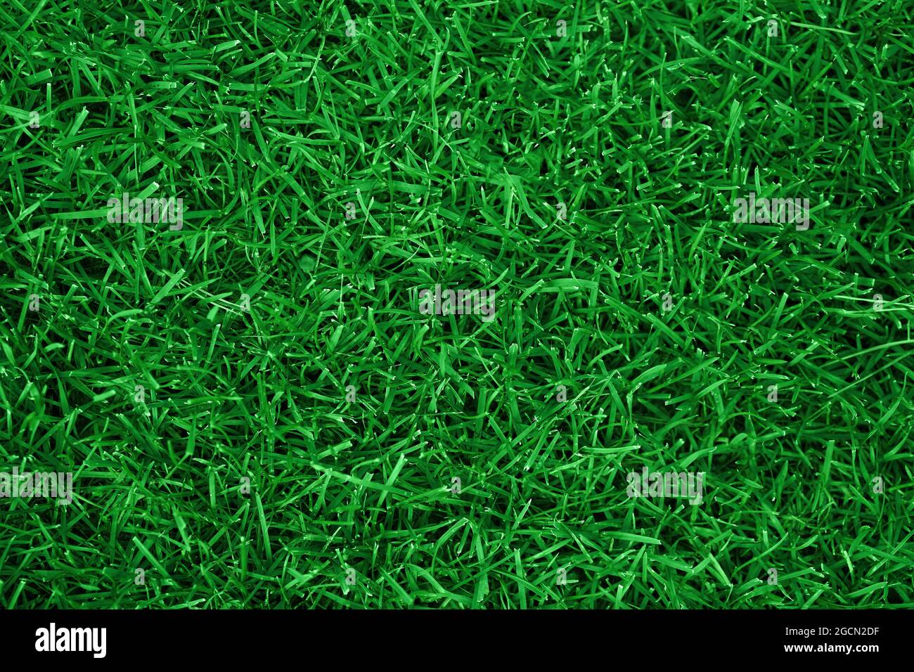 Green grass texture for background. Green lawn pattern and texture background. Top view of grass garden Ideal concept used for making green flooring. . High quality photo Stock Photo