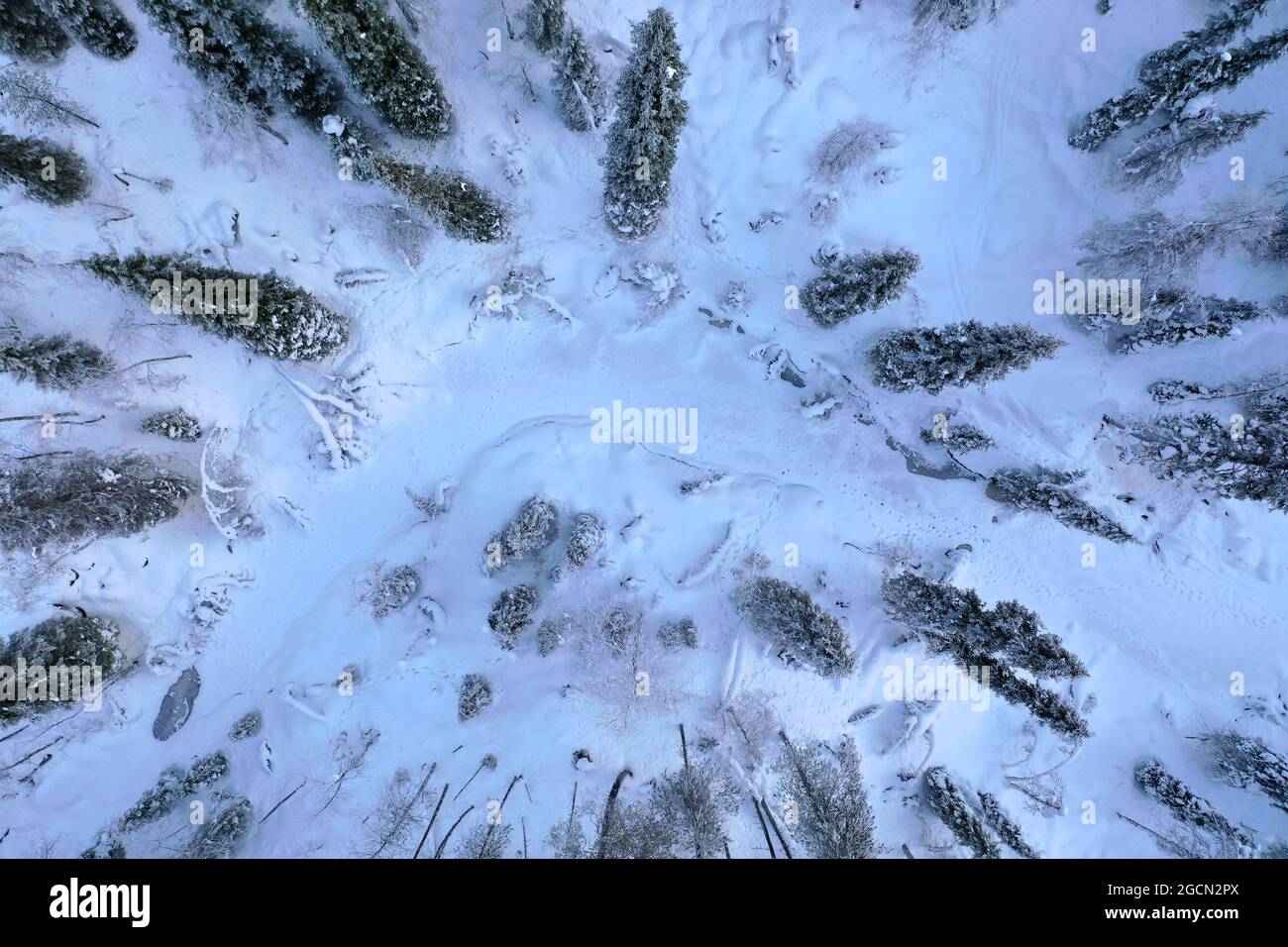 Forest Near Rovaniemi Aerial view of snow-covered trees in the forest in Rovaniemi, Lapland ...