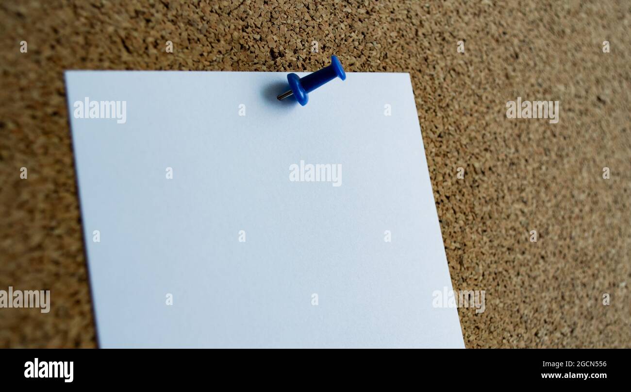Close-up of a white paper note on a cork board, attached with a blue pushpin. Copy space. Stock Photo