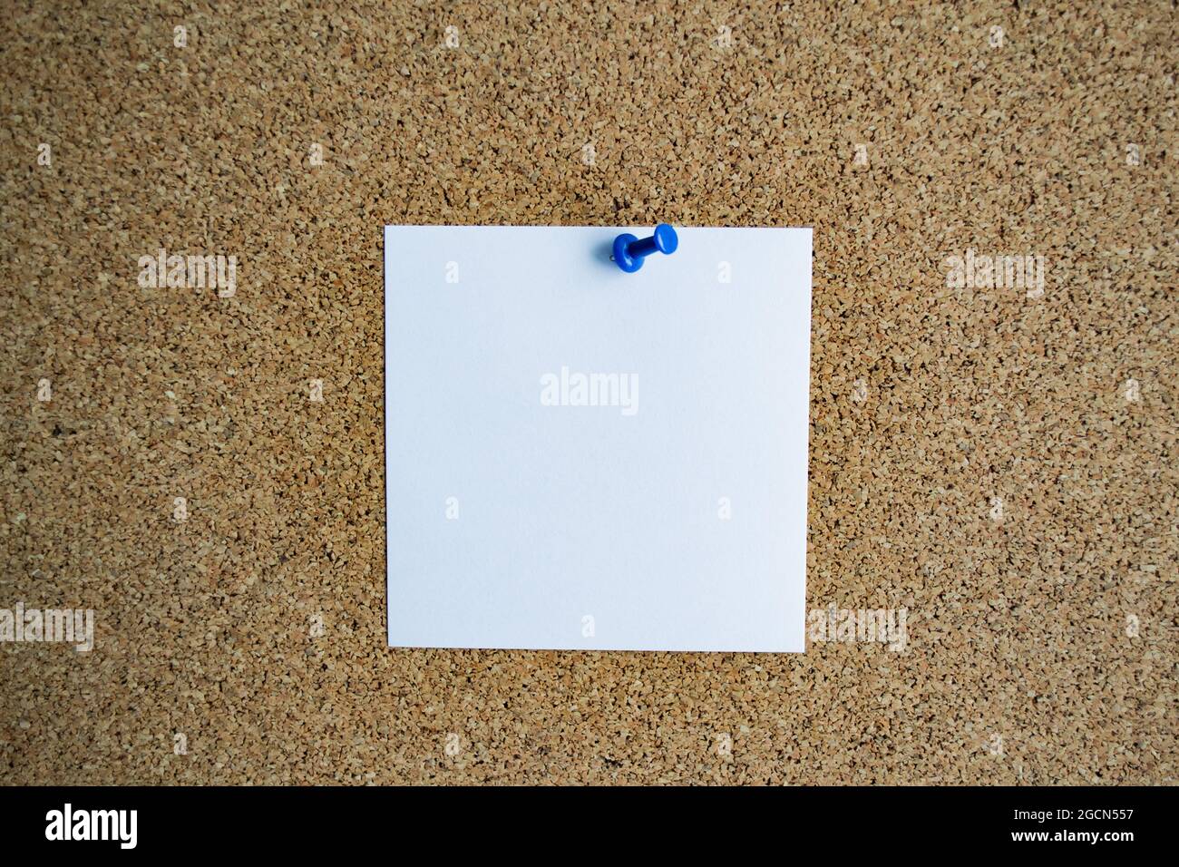 A white paper note on a cork board, attached with a blue pushpin. Copy space. Stock Photo