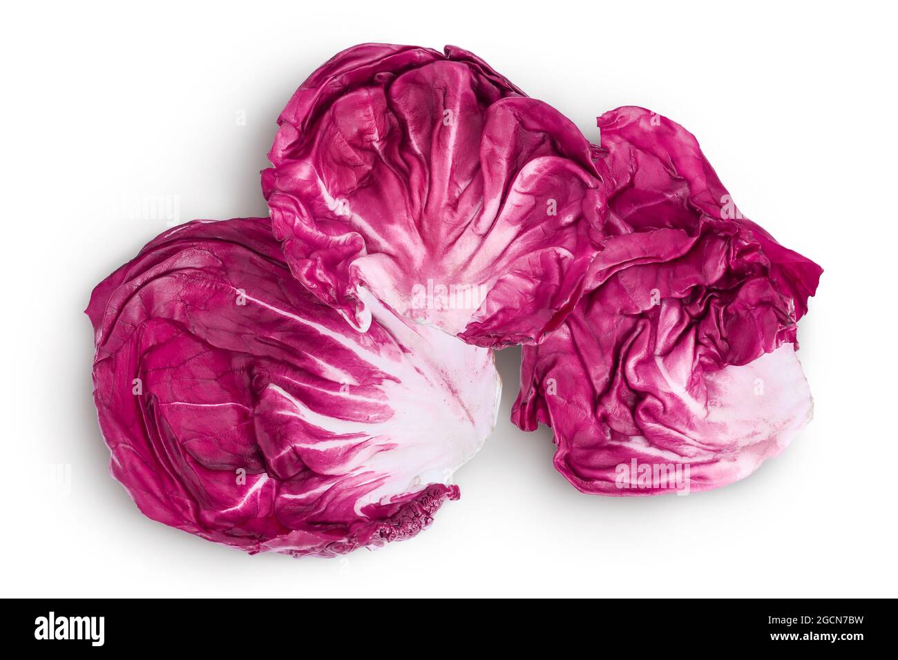 Fresh red radicchio salad leaf isolated on white background with