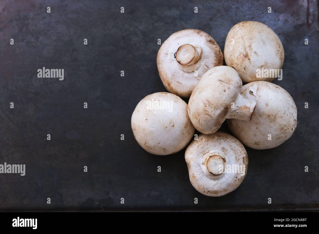 Handful of raw champignons on dark metallic sheet with text space Stock Photo