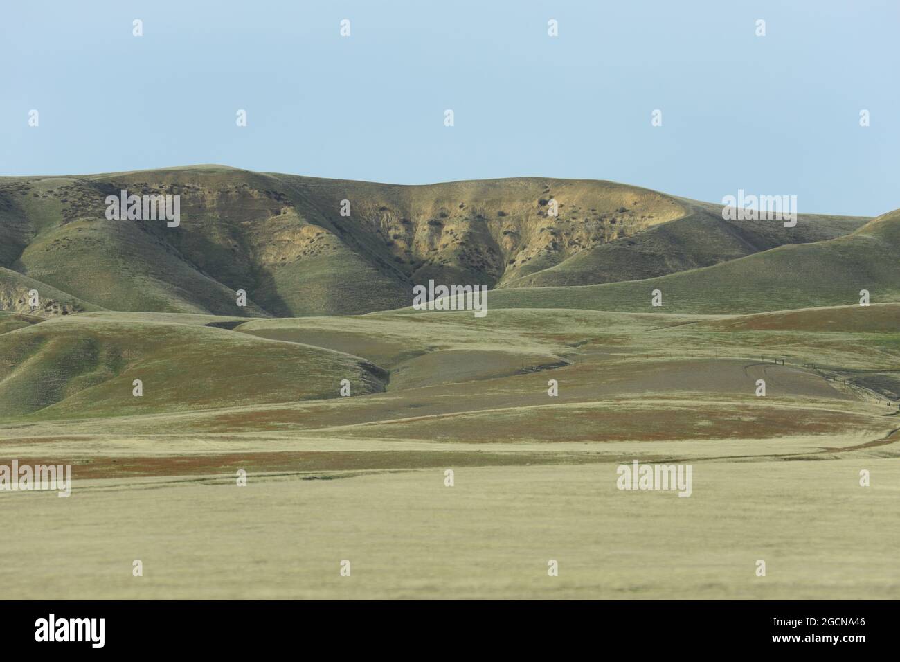 Green rolling hills of Central California are shown during the day. Stock Photo