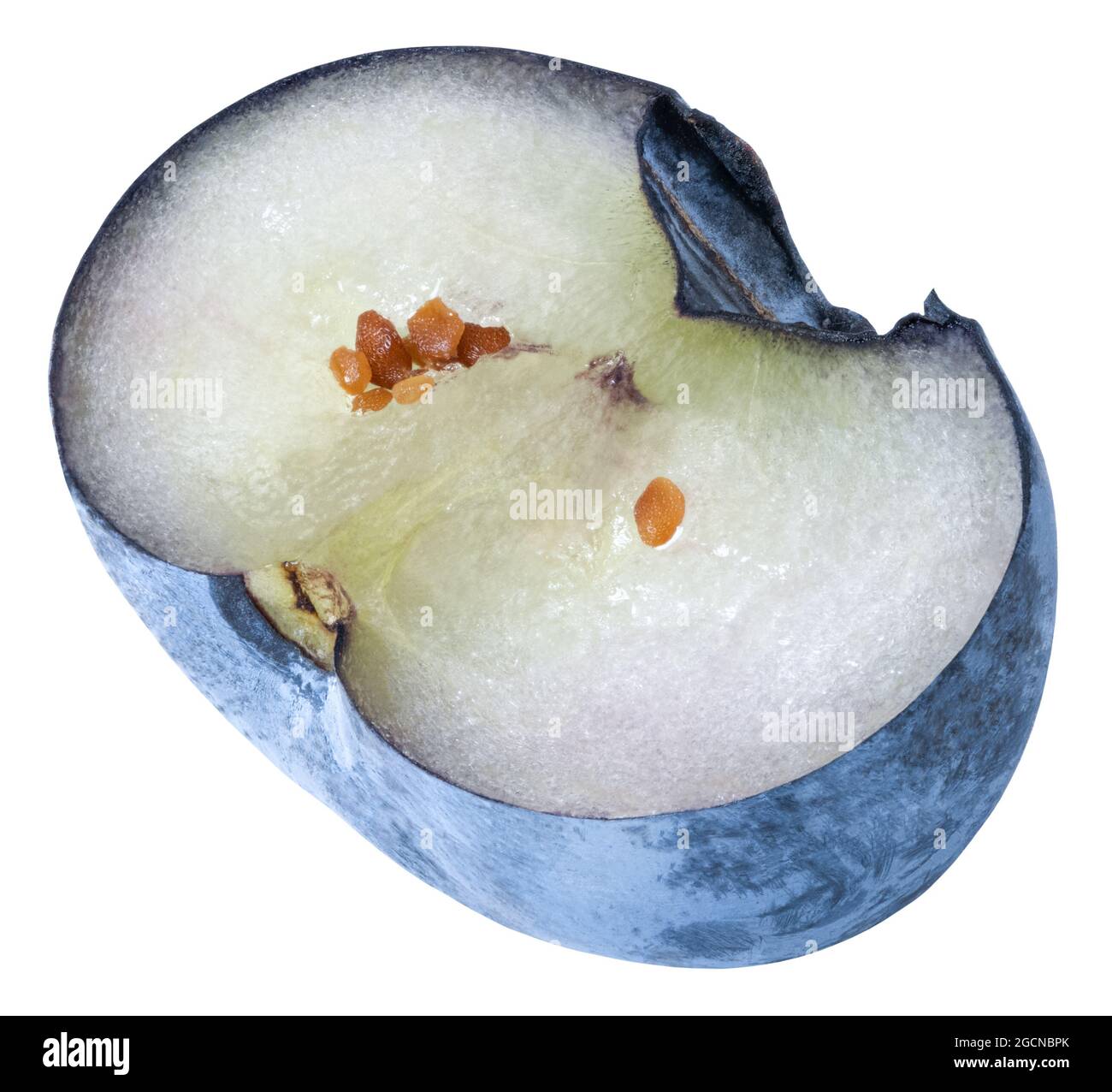 Blueberry half isolated on white background. Blueberry Clipping Path ...