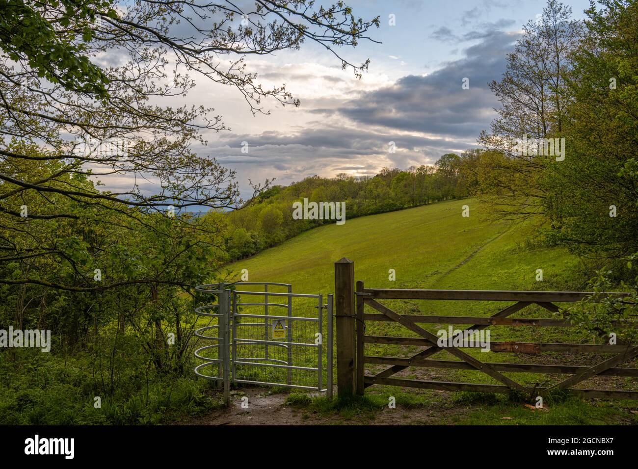 Woodland gate and fence hi-res stock photography and images - Alamy
