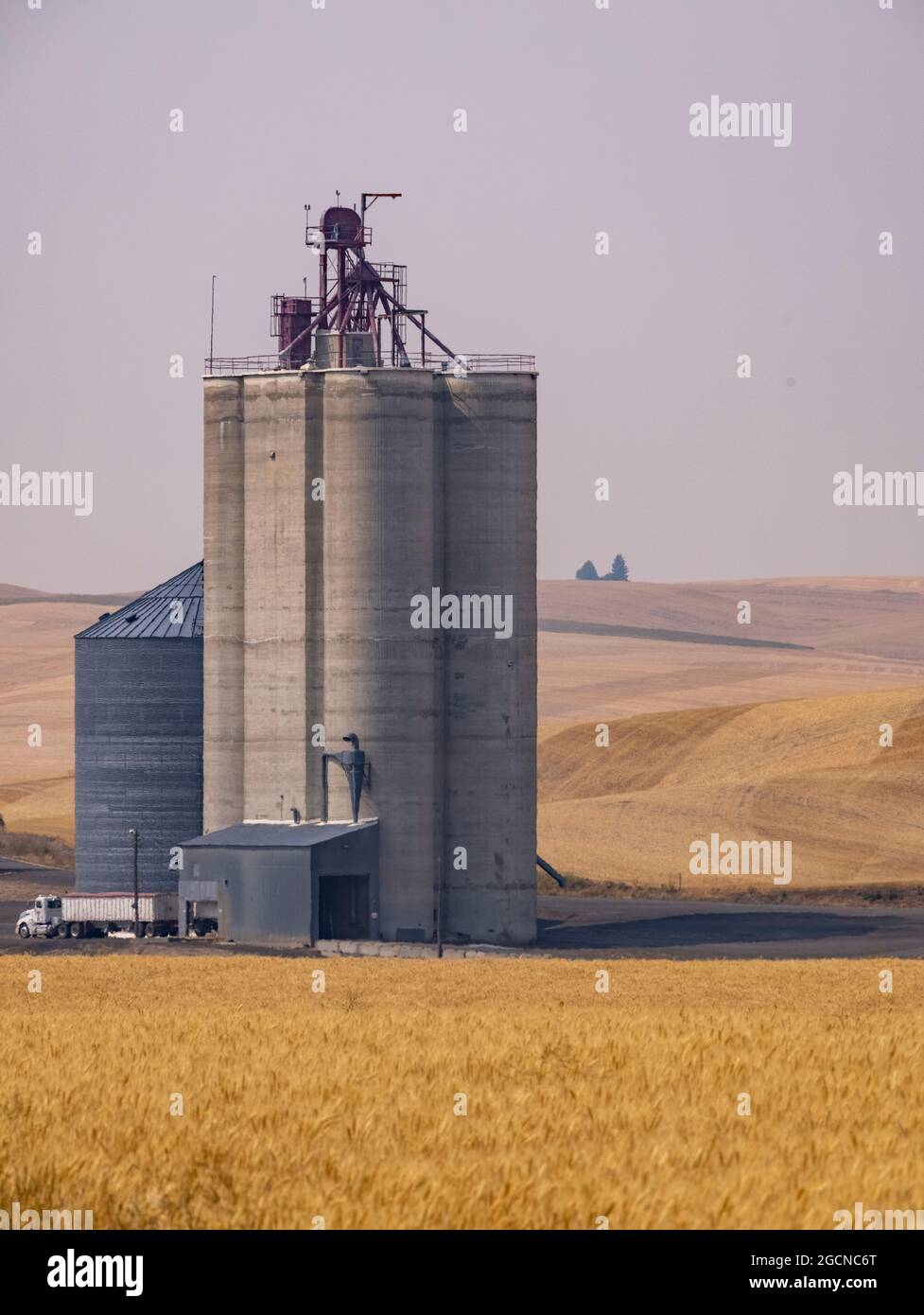 grain silos, near Pullman, Washington State, USA Stock Photo