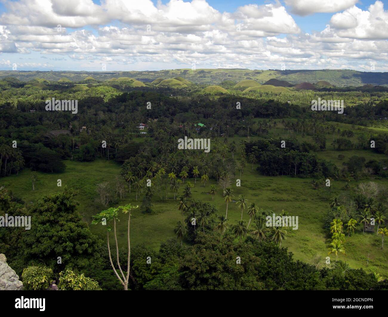 View over the majestic chocolate hills on the island Bohol on the