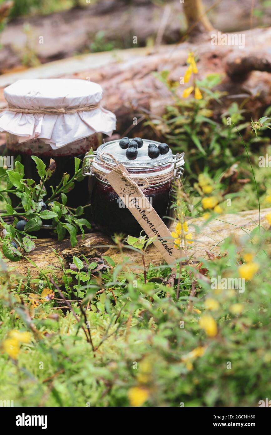 Blueberry jam in natural outdoor environment Stock Photo Alamy